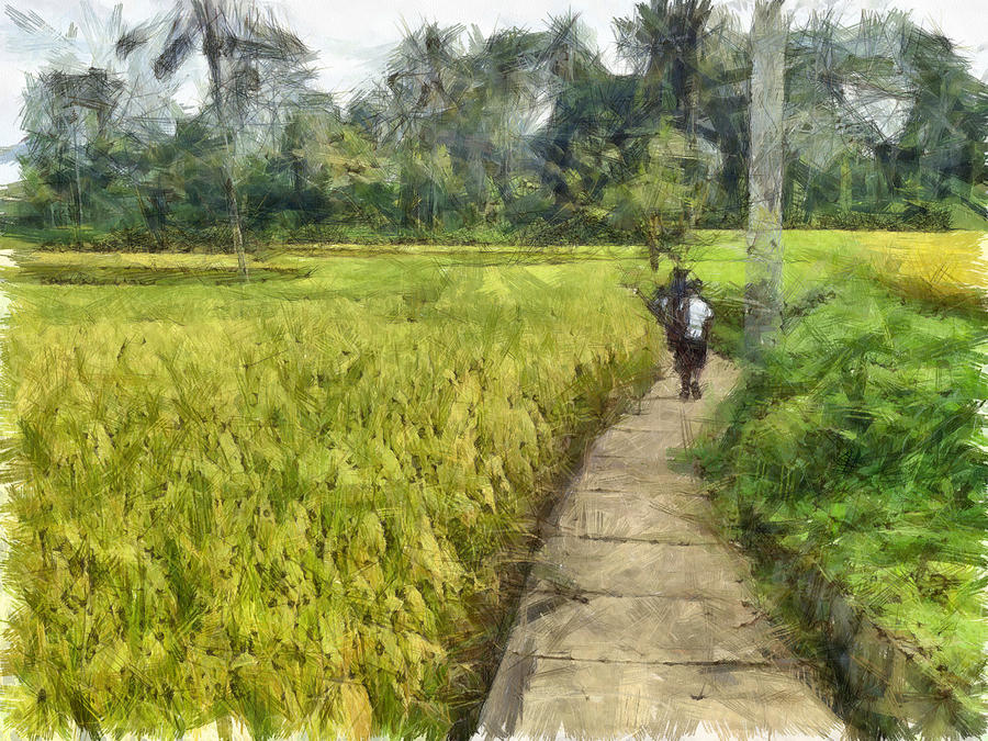 Walking through some fields Photograph by Ashish Agarwal