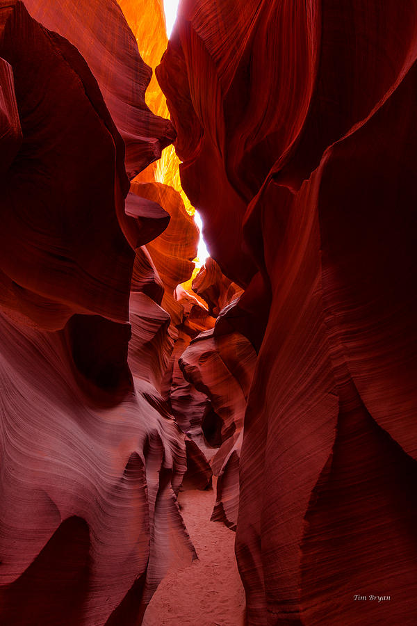Landscape Photograph - The Crowd-Lower Antelope Canyon  by Tim Bryan