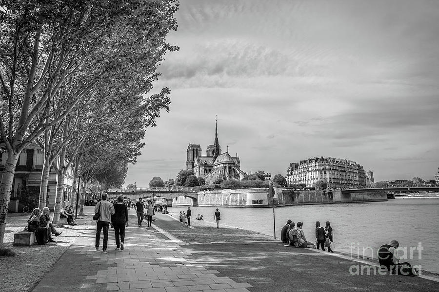 Walking Towards Notre Dame in Paris, Blk Wt Photograph by Liesl Walsh