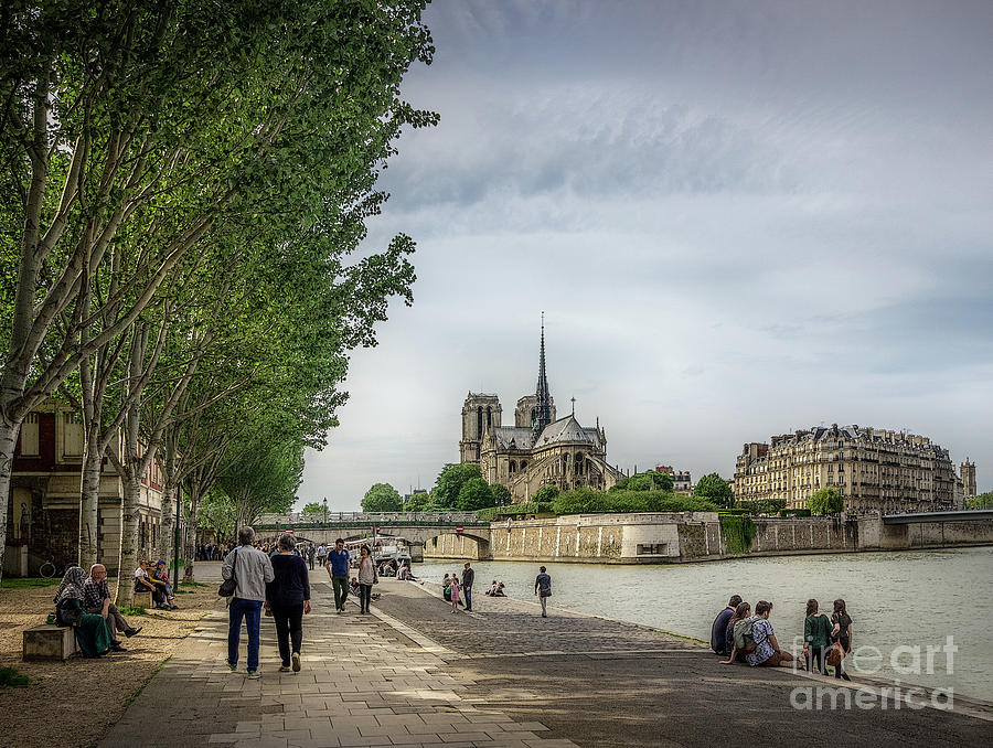 Walking Towards Notre Dame in Paris Photograph by Liesl Walsh