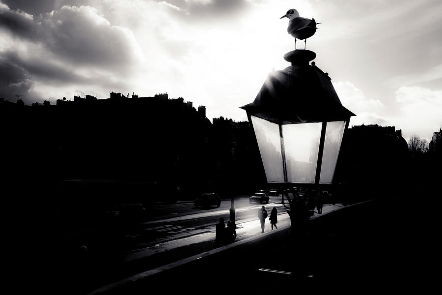 Walking with Parisians Photograph by Christopher Maxum