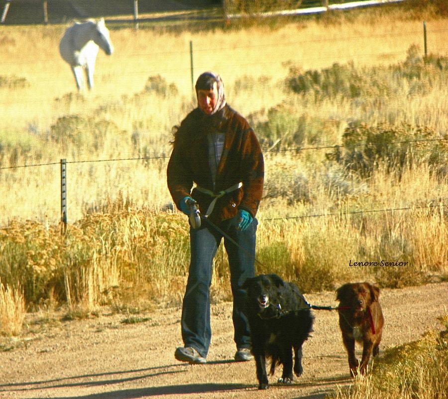 Dog Photograph - Walking the Dogs - Wyoming by Lenore Senior