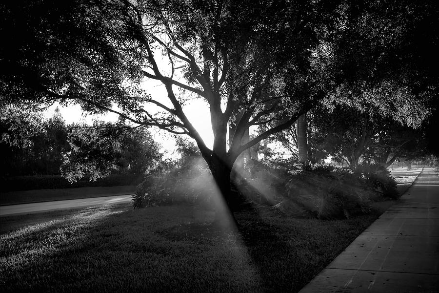 Black And White Photograph - Walks of Light by Chrystyne Novack