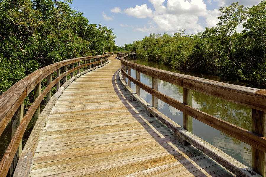 Pathway Over The Florida Salt Water Marsh  -  preservewalkway135453 Photograph by Frank J Benz