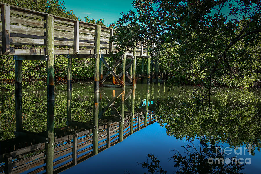 Walkway Reflection Photograph by Tom Claud