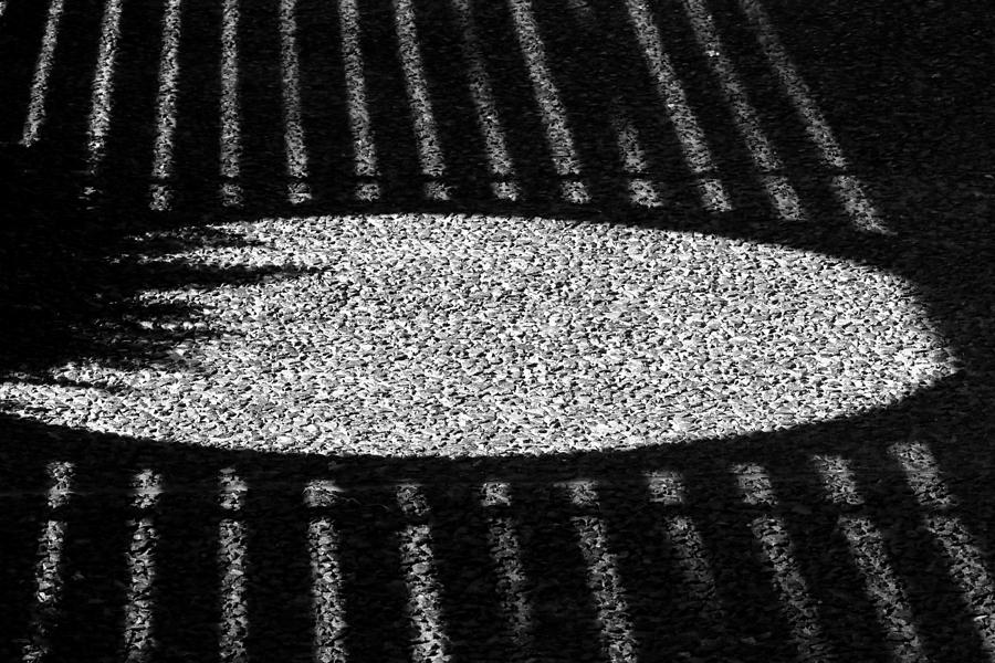 Walkway Shadow Photograph by Christopher McKenzie