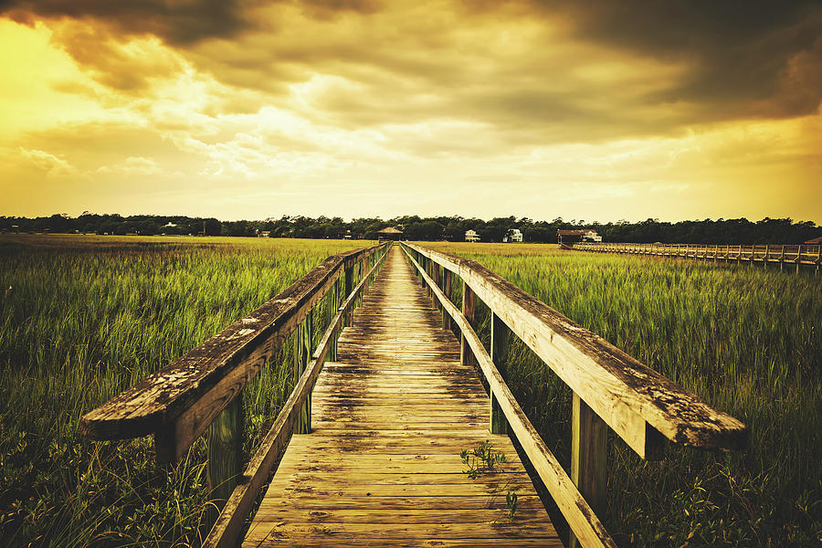 Walkway Through The Marsh Photograph by Mountain Dreams