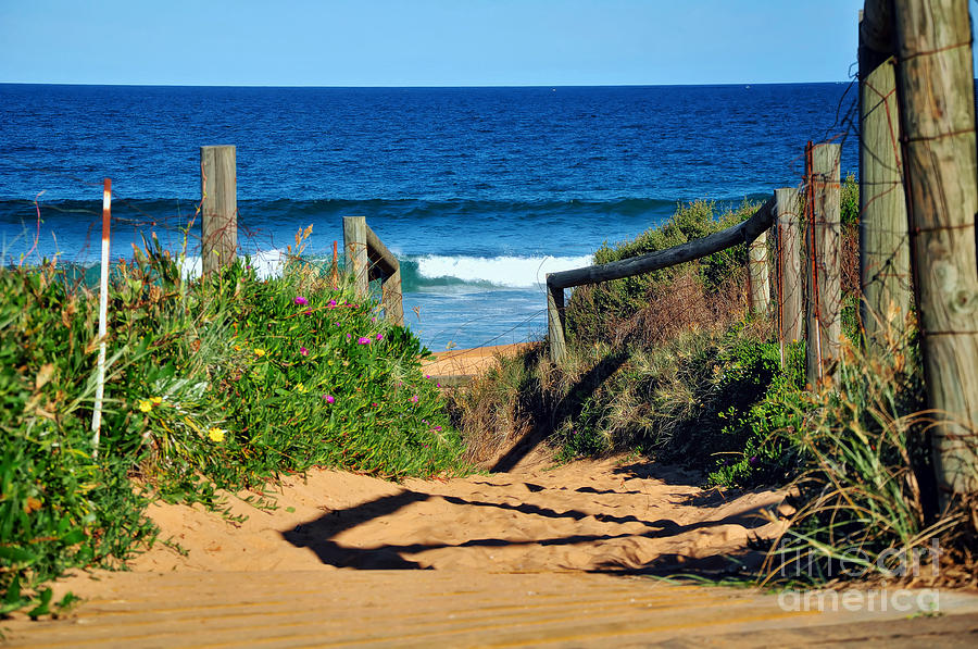 Walkway to Beach Photograph by Kaye Menner