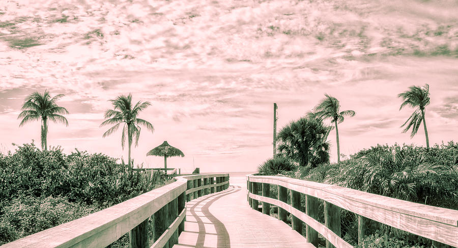 Walkway to the Beach Photograph by Robert FERD Frank