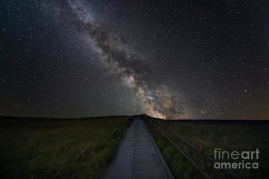 Walkway To The Stars Photograph by Michael Ver Sprill