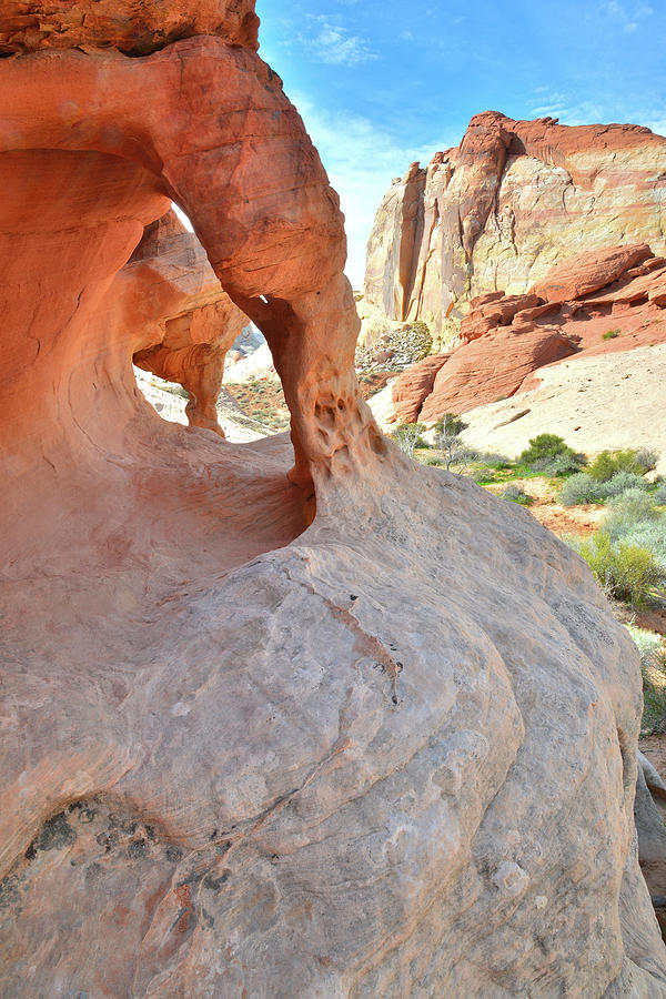 Wall Arches in Valley of Fire Photograph by Ray Mathis