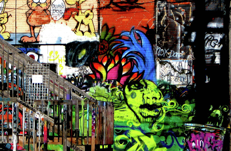 Wall Art Graffiti Alley Photograph by Nadalyn Larsen
