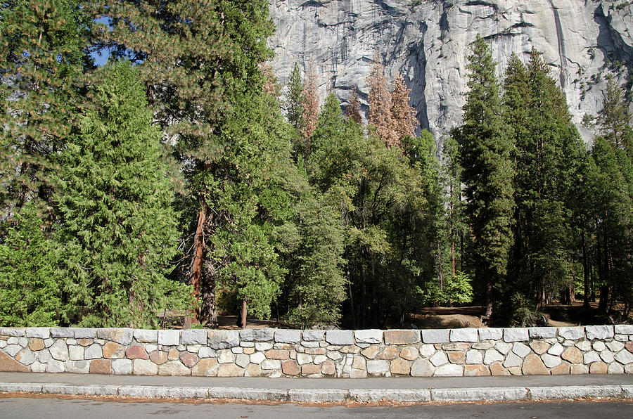 Wall at Yosemite Photograph by Erik Burg