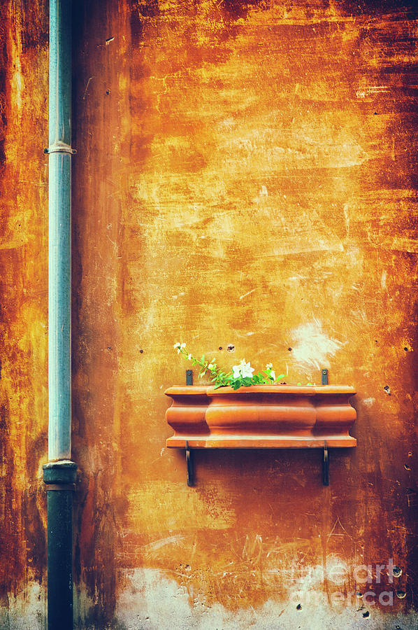 Wall gutter vase Photograph by Silvia Ganora