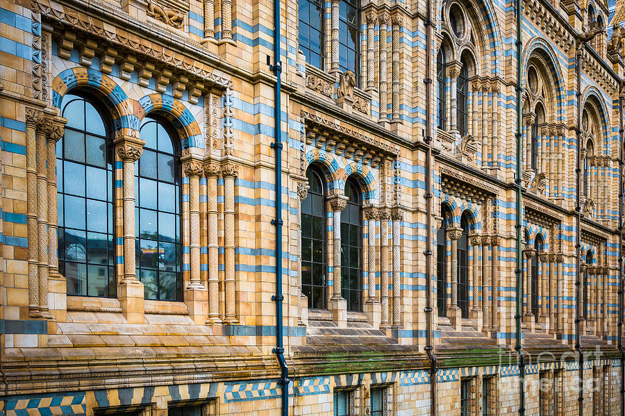 London Photograph - Wall of Natural History Museum in London by Inge Johnsson