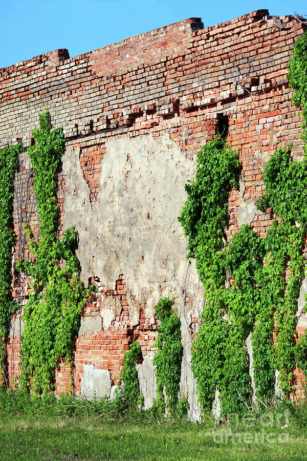 Wall People Photograph by Joy Tudor
