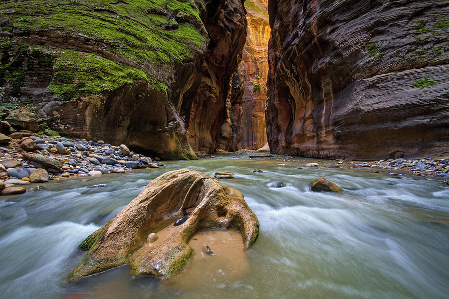 Wall Street of the Narrows Photograph by Wesley Aston