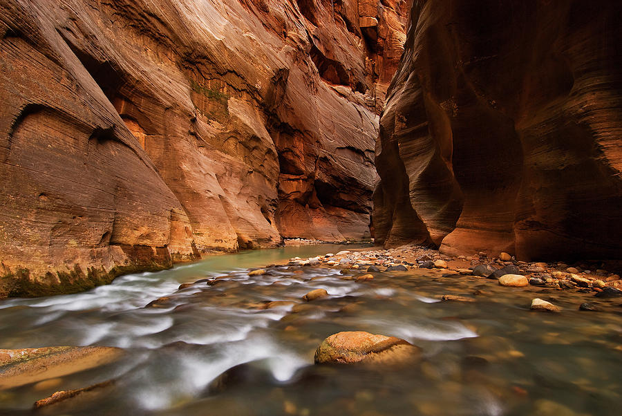 Wall Street, Zion Narrows Photograph by Jeremiah Leipold