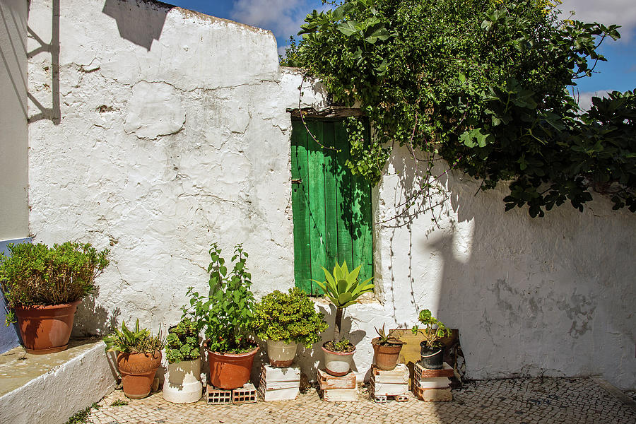 Wall with Green Door Photograph by Jeff Townsend