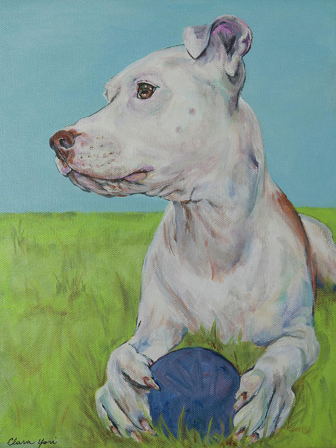 Dog Painting - Wallace, Pittie Bull by Clara Yori