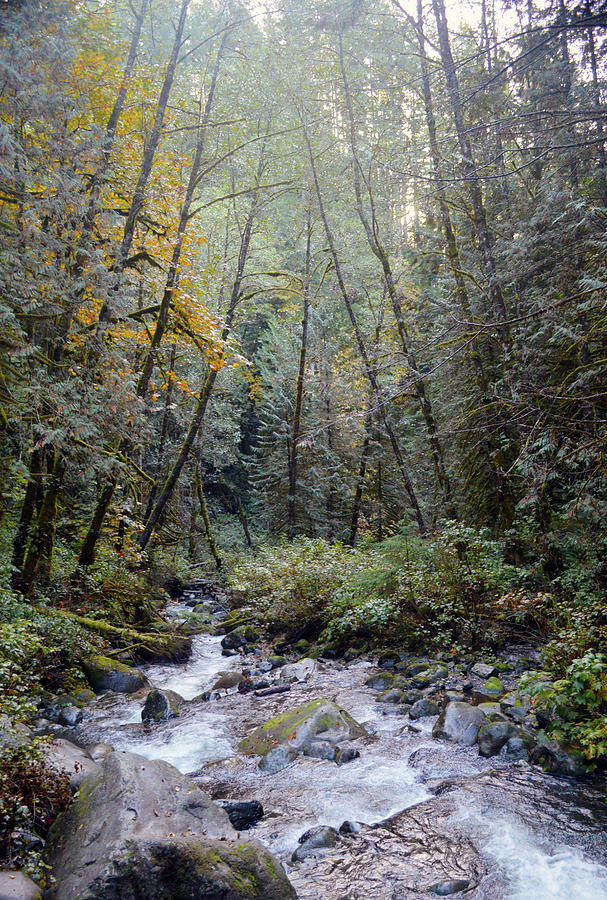 Wallace River Photograph