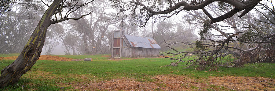 Wallaces Hut Through The Fog Photograph