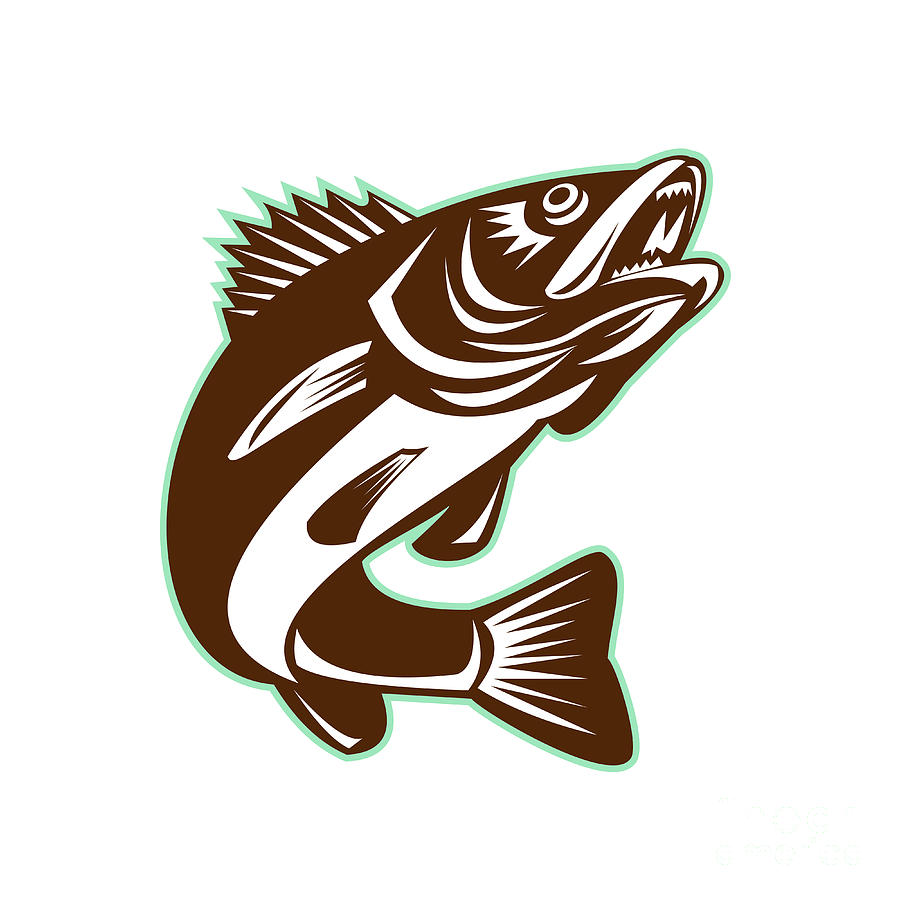 Download Walleye Fish Jumping Isolated Retro Digital Art by ...