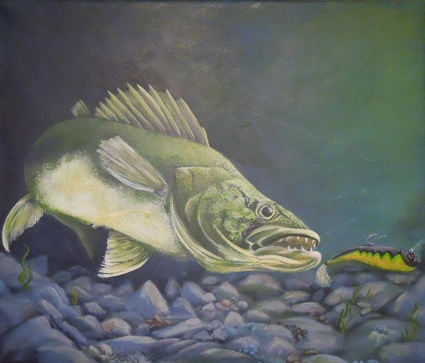 Walleye Fishing by Aly Stewart