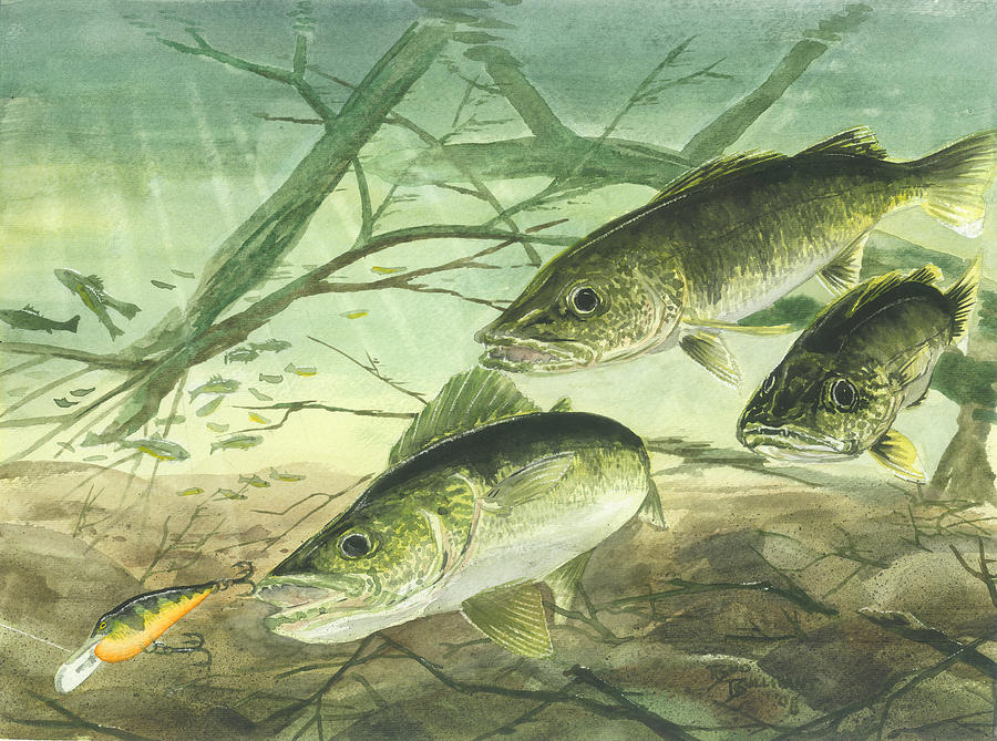 Walleyes Painting by Bud Bullivant - Fine Art America