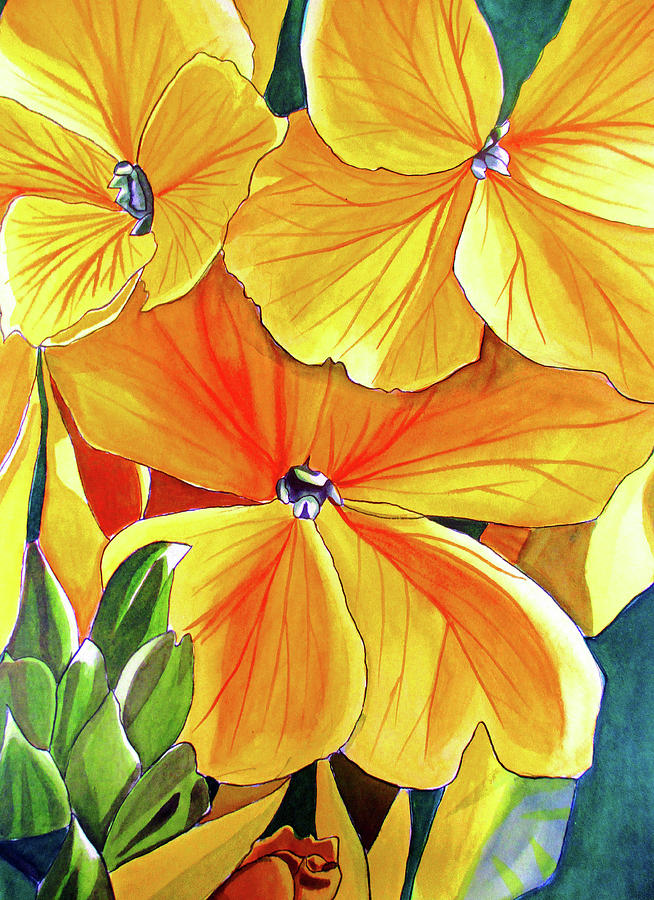 Flower Painting - Wallflower by Sacha Grossel Flower Painting - Wallflower by Sacha Grossel