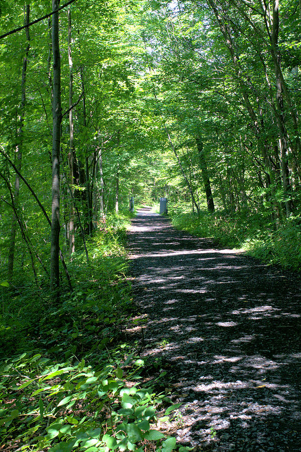 Wallkill Valley Rail Trail Photograph by Robert McCulloch - Fine Art ...