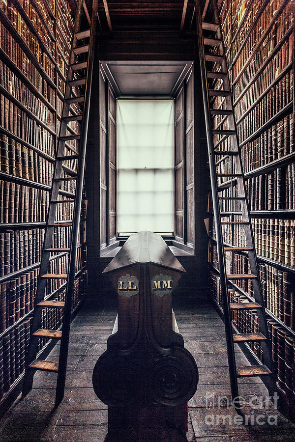 Walls Of Books Photograph by Evelina Kremsdorf