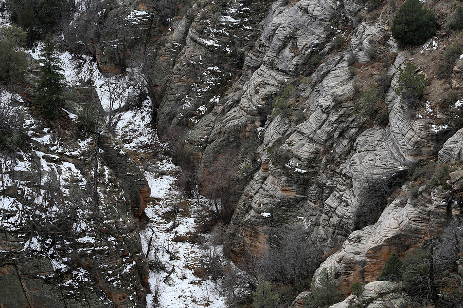 Walnut Canyon in Flagstaff in Winter 2 Photograph by Mary Bedy
