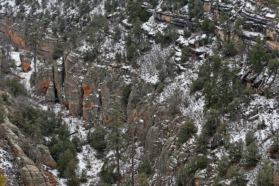 Walnut Canyon in Flagstaff in Winter 3 Photograph by Mary Bedy