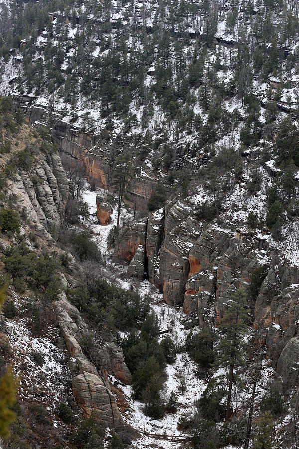 Walnut Canyon in Flagstaff in Winter 4 Photograph by Mary Bedy