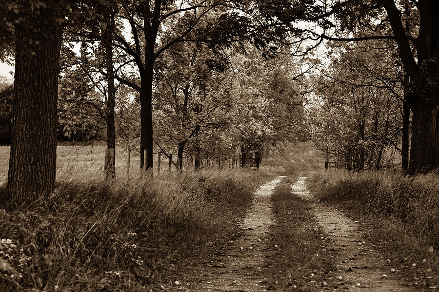 Walnut Lane Antiqued by Melissa Lane Walnut Lane Antiqued by Melissa Lane