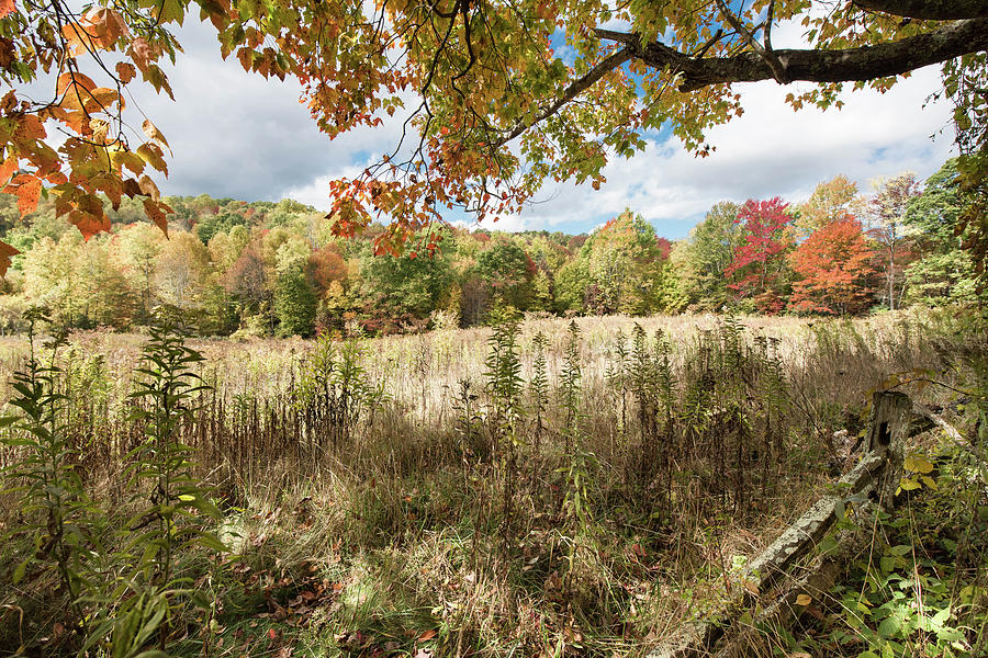 Walnut Mountain Photograph by Sallie Woodring - Fine Art America