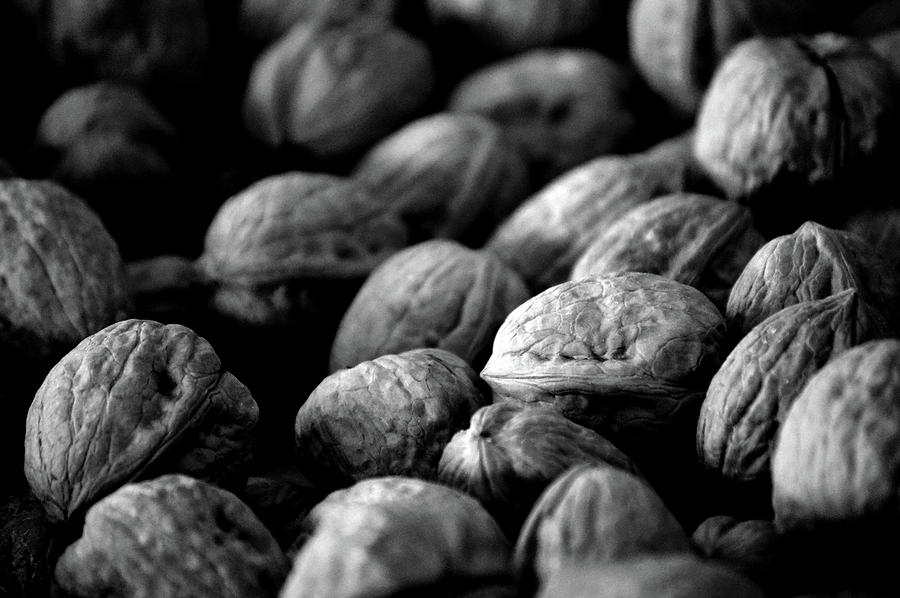 Walnuts Ready For Baking BW Photograph by Lesa Fine