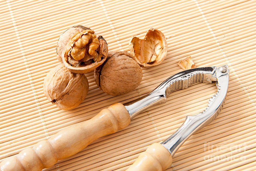 walnuts-with-broken-shell-and-nutcracker-photograph-by-arletta-cwalina-fine-art-america