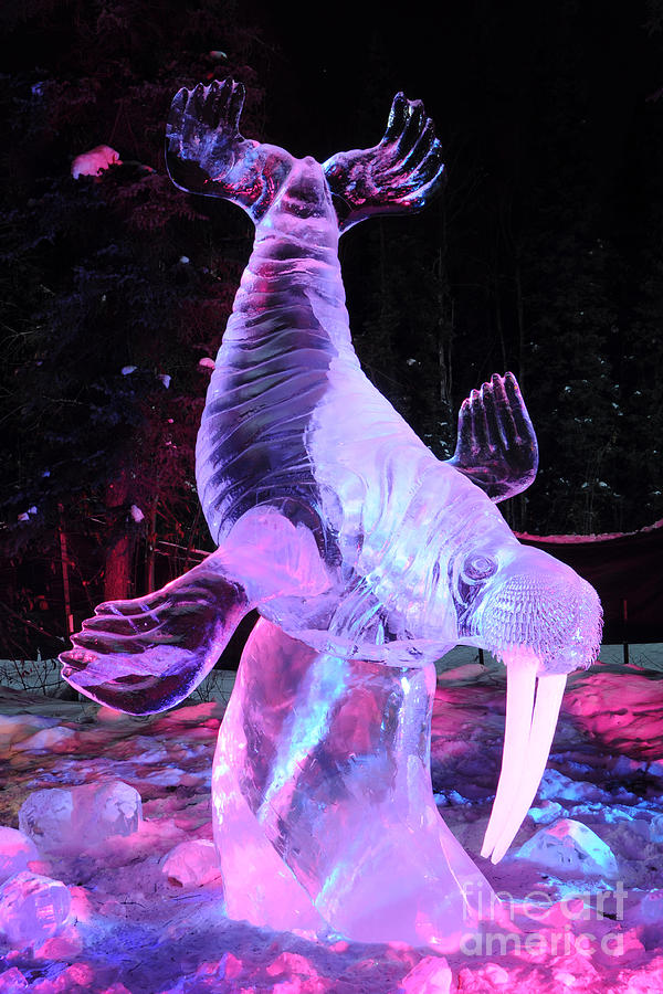 Walrus Ice Art Sculpture - Alaska Photograph by Gary Whitton