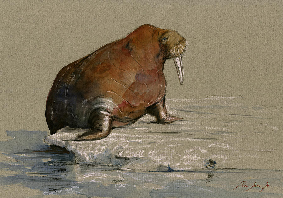 Walrus Painting - Walrus on ice by Juan  Bosco