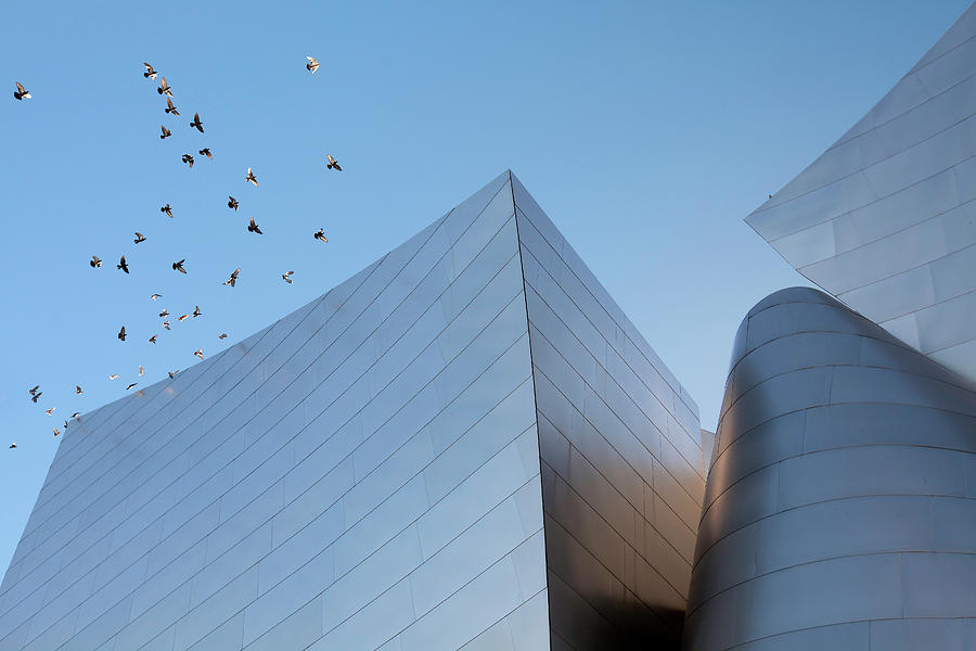 Walt Disney Concert Hall Los Angeles California Architecture Abstract Photograph by Ram Vasudev