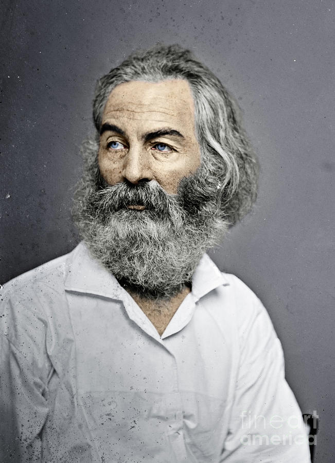Walt Whitman Photograph by Granger