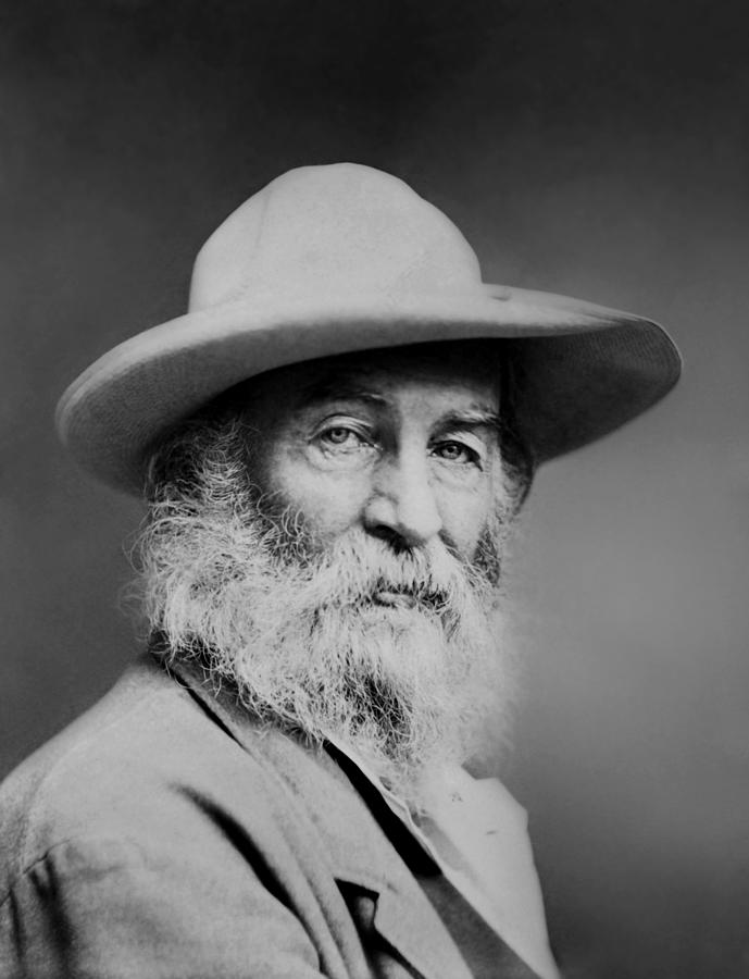 Walt Whitman Portrait Photograph by War Is Hell Store