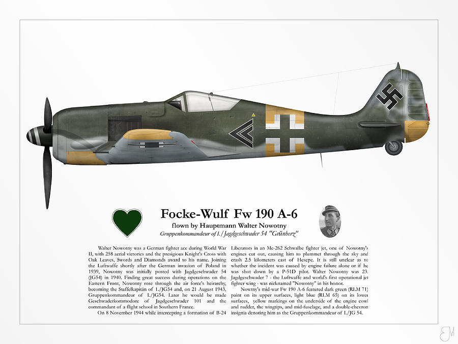 Walter Nowotnys Fw 190 A 6 Digital Art By Brendan Matsuyama Pixels