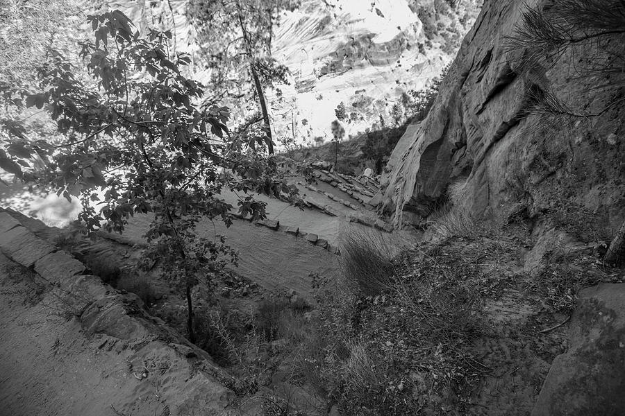 Walters Wiggles Angels Landing  Photograph by John McGraw