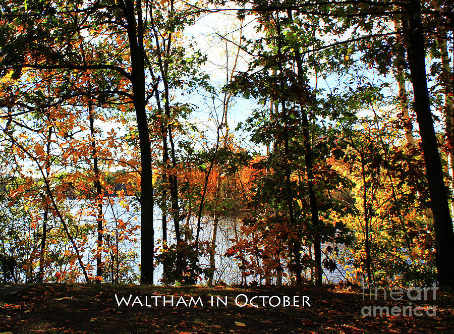 Waltham in October Photograph by Rita Brown