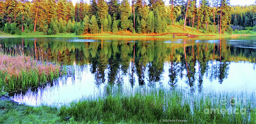 Walton Lake Reflections Photograph by Michele Penner