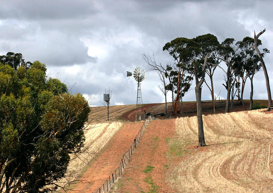 Wambyn Fence-line. Photograph by Tony Brown
