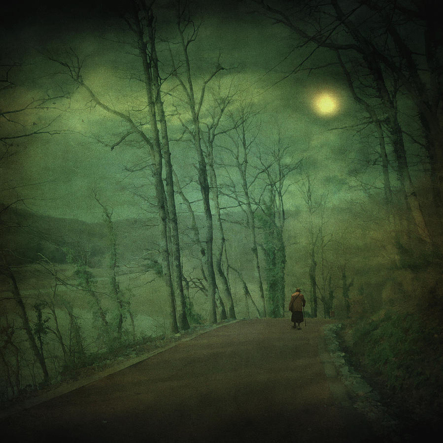Forest Photograph - Wanderer by Zapista Zapista Forest Photograph - Wanderer by Zapista Zapista